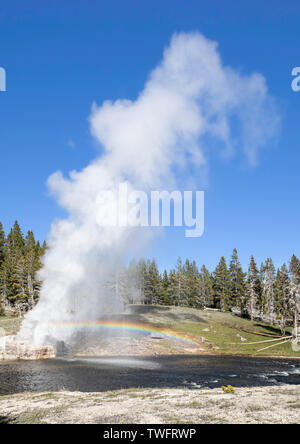 Riverside Geysir bricht mit den Firehole River im Vordergrund, die die Classic Rainbow Stockfoto