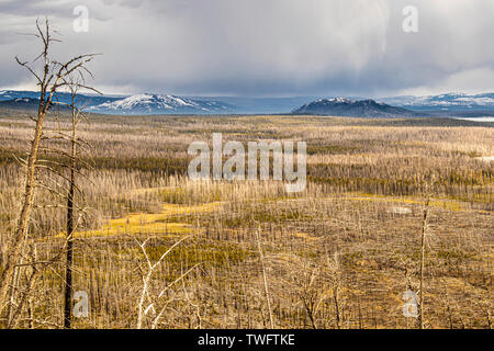 Butte Blicken auf den See, auf der Suche nach Avalanche Peak, Yellowstone National Park, Wyoming, USA Stockfoto