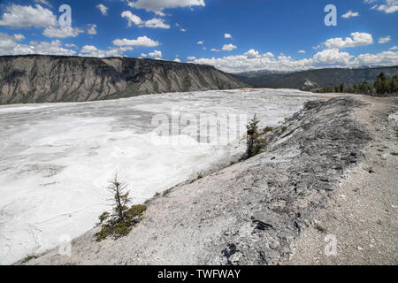 Blick auf die mineralischen Ablagerungen in Mammoth Terrassen Trail, Yellowstone National Park, WY 82190 Stockfoto