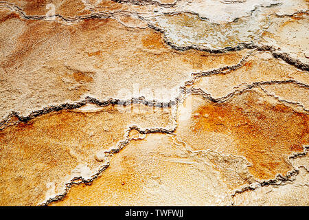 Blick auf die mineralischen Ablagerungen in Mammoth Terrassen Trail, Yellowstone National Park, WY 82190 Stockfoto