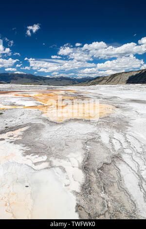 Blick auf die mineralischen Ablagerungen in Mammoth Terrassen Trail, Yellowstone National Park, WY 82190 Stockfoto