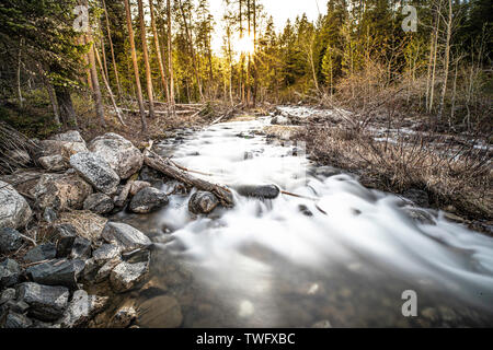 Stream läuft durch einen Wald und über Felsen. Lange Belichtung. Lake Creek, Grand Teton National Park Stockfoto