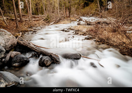 Stream läuft durch einen Wald und über Felsen. Lange Belichtung. Lake Creek, Grand Teton National Park Stockfoto