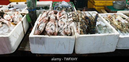 BADUNG BALI - 03. JUNI 2019: Frische rohe Krabben und Hummer in White Ice Styropor am Kedonganan Fischmarkt Stockfoto