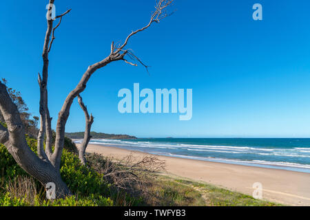 Park Beach, Coffs Harbour, New South Wales, Australien Stockfoto