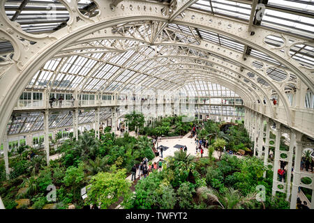 Innere eines Gewächshauses in Kew Gardens Stockfoto