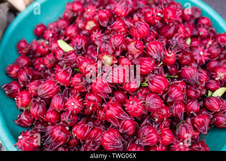 Ansicht von oben von Roselle, Thailand Stockfoto