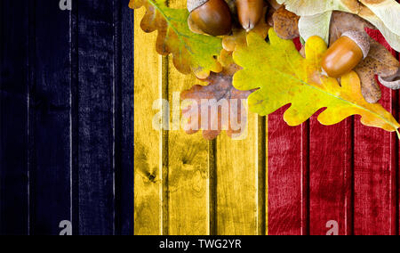 Tschad Fahne auf Herbst Holz- Hintergrund mit Blättern und guter Platz für Ihren Text. Stockfoto