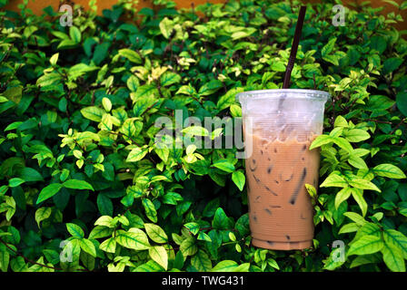 Kaffee Eis in einem Kunststoff Glas, das auf einem Busch platziert ist. Stockfoto