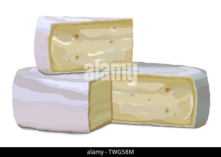 Camembert und Scheibe auf weißem Hintergrund Seitenansicht isoliert Stock Vektor