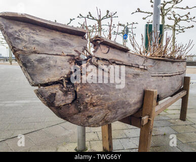 Aus einem alten Holzboot auf dem Rhein in Düsseldorf Blumenbeet. Stockfoto