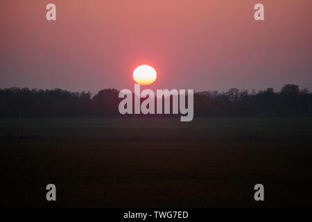 Feurigen Sonnenuntergang im Nebel der Zeit über den Wald Stockfoto