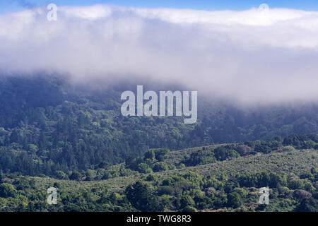 Wolken und Nebel, die Hügel im immergrünen Wäldern bedeckt und Chaparral in den Santa Cruz Mountains, San Mateo County, San Francisco Bay Area. Stockfoto