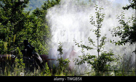 Traktor sprays Insektengift in Apple Orchard Felder Bild Stockfoto