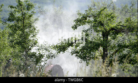 Traktor sprays Insektengift in Apple Orchard Felder Bild Stockfoto