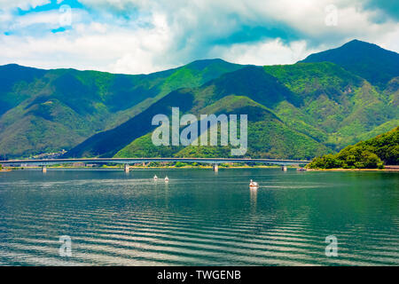 Nahaufnahme Foto von Elefant Gesicht Stockfoto
