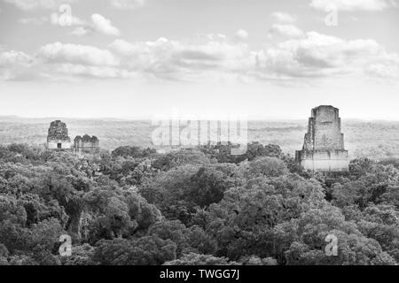 Maya Ruinen erheben sich über den Dschungel im berühmten Nationalpark Tikal, Guatemala in atemberaubenden Schwarz und Weiß Stockfoto