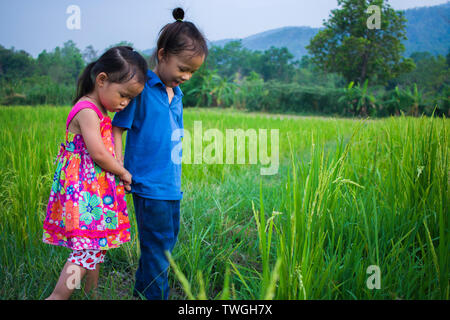 Lange Haare Junge und Mädchen spielen im Reisfeld. Und ein Mädchen sie erschrocken einen Schlammigen. Hochauflösende Bilder Galerie. Stockfoto