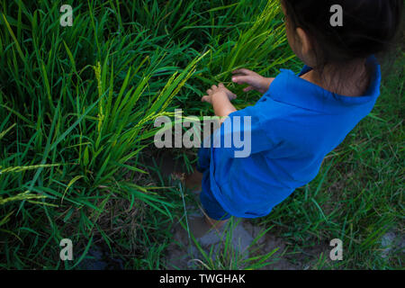 Asiatische Kinder spielen, springen in die schlammige Pfütze im Reisfeld. Hochauflösende Bilder Galerie. Stockfoto