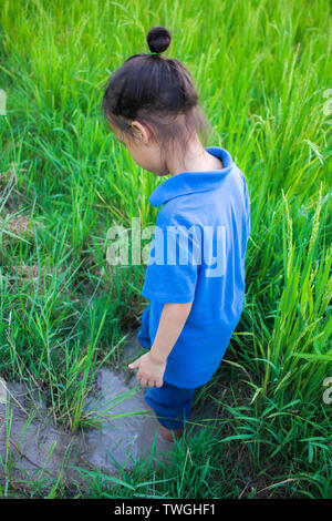 Asiatische Kinder spielen, springen in die schlammige Pfütze im Reisfeld. Hochauflösende Bilder Galerie. Stockfoto