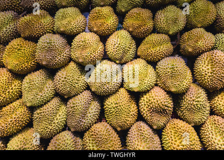 Durian Früchten im Shop in Peking, Hauptstadt von China Stockfoto