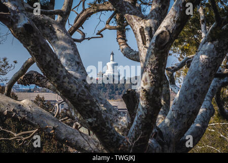 Weiße Dagoba auf Jade Blumeninsel im Beihai Park von Hill in Jingshan Park in Peking, China Stockfoto