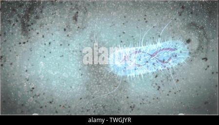 Bakterien schwimmen in medium Bakterium Konzept pili Flagellen superbug antibiotikaresistenten Bakterien Gehirn essen Amöbe 3D-Rendering Stockfoto