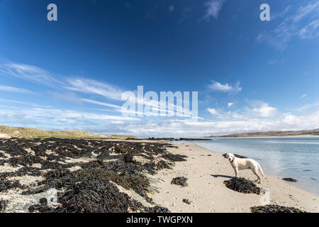 Strand und Küste an Ardnave Punkt, Islay, Schottland. Killinallan Punkt im Hintergrund. Stockfoto