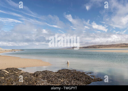 Strand und Küste an Ardnave Punkt, Islay, Schottland. Killinallan Punkt im Hintergrund. Stockfoto