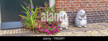 Zwei weiße Lächeln Igel und Blumen als Dekoration auf der Straße vor einem Haus Stockfoto