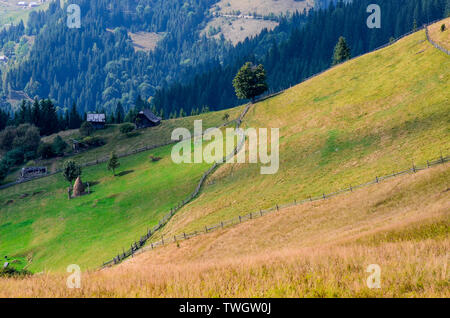 Holz ist ein altes Bauernhaus steht auf einem Elefanten Berg in der Nähe Heuhaufen vor dem Hintergrund der Berggipfel. Die Ukraine Stockfoto