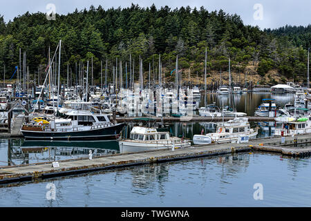 Der Yachthafen von Friday Harbor in Washington auf der San Juan Insel. Stockfoto