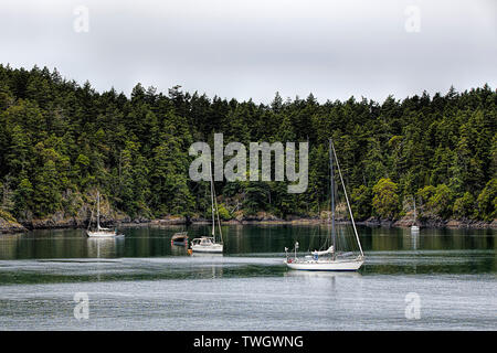 Einige Segelboote sind in Friday Harbor auf San Juan Island, Washington. Stockfoto