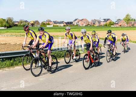 Ein Team von Amateurradfahrern fährt bei einem morgendlichen Trainingsausflug in den Außenbezirken von Brüssel durch die belgische Landschaft. Stockfoto