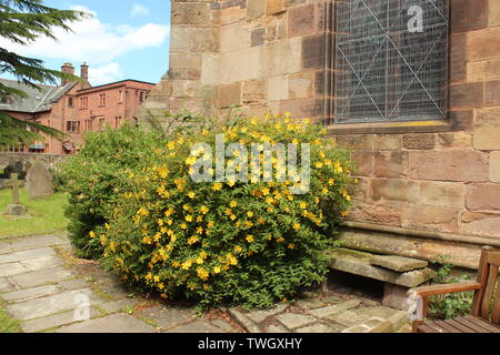 Hawarden ist ein kleines Dorf in Deeside, Clwyd, Wales, an der walisischen Grenze/Englisch Stockfoto