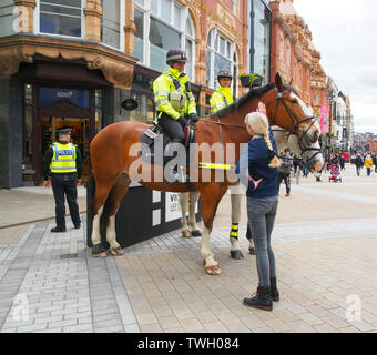 Berittene Polizei auf Briggate im Stadtzentrum von Leeds, Yorkshire, traf die Öffentlichkeit in einer PR-Übung für Öffentlichkeitsarbeit. Stockfoto