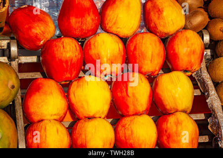 Gruppe von Rot und Yello große Äpfel. Äpfel liegen in einem Obststand in Marrakesch, Marokko. Dies ist tropische Früchte in Afrika. Es ist natürliche Lebensmittel Hintergrund. Stockfoto