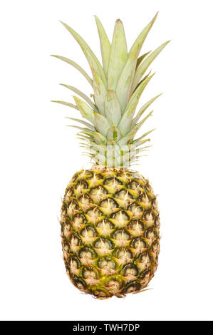 Reife Ananas mit Blättern auf weißem Hintergrund Stockfoto