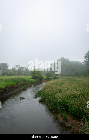 Creek durch die Prärie an einem nebligen Morgen in der Midewein National Tall Grass Prairie, Wilmington, Illinois. Stockfoto