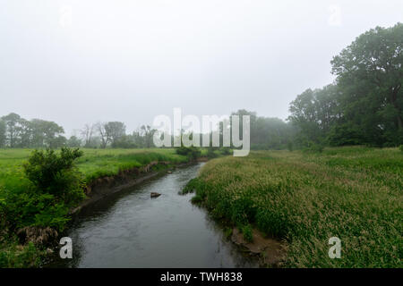 Creek durch die Prärie an einem nebligen Morgen in der Midewein National Tall Grass Prairie, Wilmington, Illinois. Stockfoto