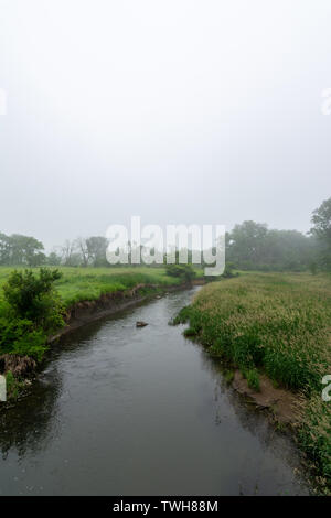 Creek durch die Prärie an einem nebligen Morgen in der Midewein National Tall Grass Prairie, Wilmington, Illinois. Stockfoto