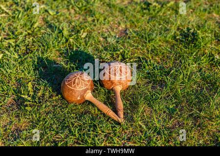 Kubanische maracas auf dem grünen Rasen. Traditionelles Musikinstrument aus natürlichen Materialien. Stockfoto