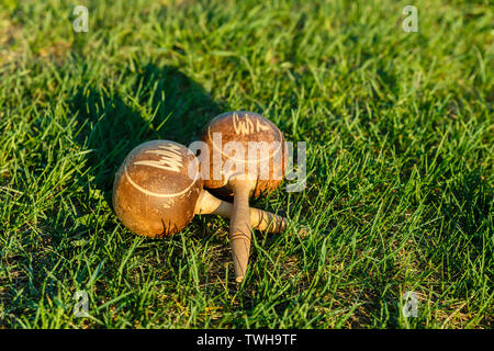 Kubanische maracas liegen auf dem grünen Rasen. Traditionelles Musikinstrument aus natürlichen Materialien Stockfoto