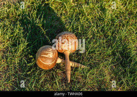 Kubanische maracas liegen auf dem grünen Rasen. Traditionelle Musikinstrument. Stockfoto