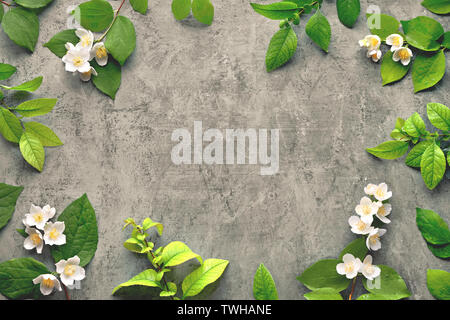 Sommer floral background mit frischen Cornus alba 'Sibirica Blumen, auch als Mock-orange bekannt. Flach auf dunkel strukturierten Hintergrund mit Text. Stockfoto