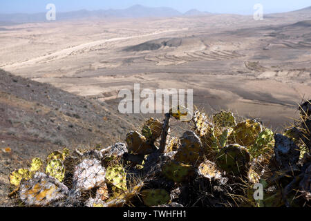 Landschaft vom Gipfel des Montaña de la Mareta, Fuerteventura Stockfoto