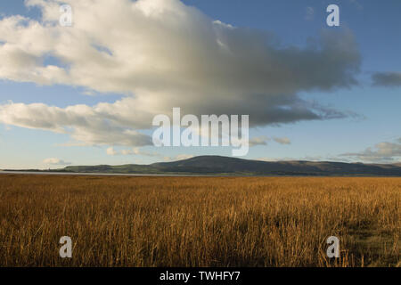 Blick von der Küste in der Nähe von Dunnerholme und Askam-In-Furness. Schwarz Combe und Millom gesehen in der Duddon Flussmündung auf der Cumbrian Küste. Stockfoto