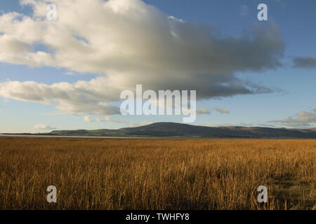 Blick von der Küste in der Nähe von Dunnerholme und Askam-In-Furness. Schwarz Combe und Millom gesehen in der Duddon Flussmündung auf der Cumbrian Küste. Stockfoto