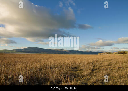 Blick von der Küste in der Nähe von Dunnerholme und Askam-In-Furness. Schwarz Combe und Millom gesehen in der Duddon Flussmündung auf der Cumbrian Küste. Stockfoto