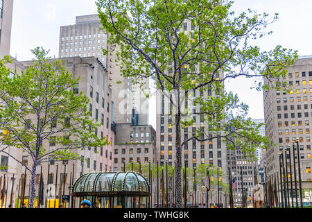 New York, United States, 3. Mai 2019. Manhattan Downtown. Wolkenkratzer und Bäume beleuchtet, am Abend Stockfoto